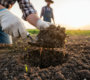 Bekijk deze afbeelding van dit nieuwsartikel De Onzichtbare Hulp: Hoe Biologische Landbouw Koolstof Vastlegt en het Klimaat Redt en  op Bedrijf