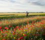 Bekijk deze afbeelding van dit nieuwsartikel Biologische Boeren als Bewaarders van Biodiversiteit: Een Groene Revolutie op het Platteland en  op Bedrijf