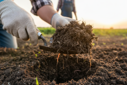 Bekijk deze afbeelding van De Onzichtbare Hulp: Hoe Biologische Landbouw Koolstof Vastlegt en het Klimaat Redt op Bedrijf 