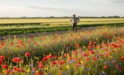 Biologische Boeren als Bewaarders van Biodiversiteit: Een Groene Revolutie op het Platteland