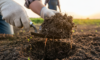 Afbeelding van 'De Onzichtbare Hulp: Hoe Biologische Landbouw Koolstof Vastlegt en het Klimaat Redt' op de website van Bedrijf