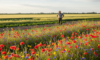 Afbeelding van 'Biologische Boeren als Bewaarders van Biodiversiteit: Een Groene Revolutie op het Platteland' op de website van Bedrijf