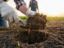 Bekijk deze afbeelding van dit nieuws De Onzichtbare Hulp: Hoe Biologische Landbouw Koolstof Vastlegt en het Klimaat Redt op Bedrijf