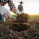 Bekijk deze afbeelding van de blog De Onzichtbare Hulp: Hoe Biologische Landbouw Koolstof Vastlegt en het Klimaat Redt op Bedrijf